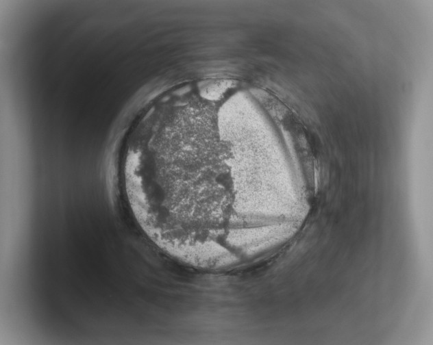 X0000101650339200808071119
