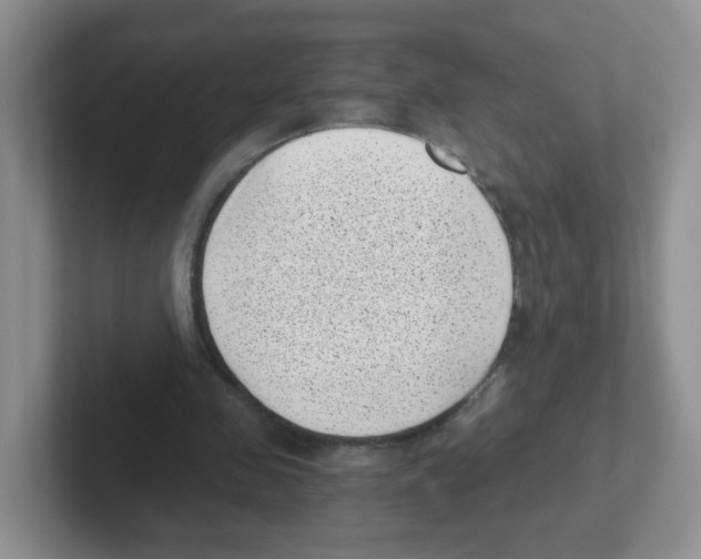 X0000101650341200808071119