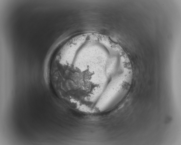 X0000101650343200808071119