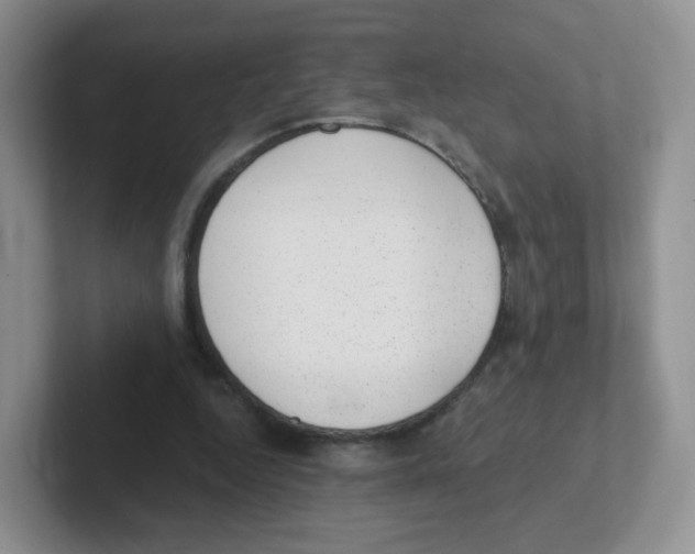 X0000101650344200808071119
