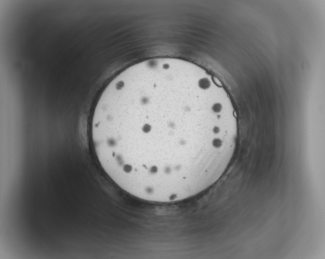 X0000101650345200808071119