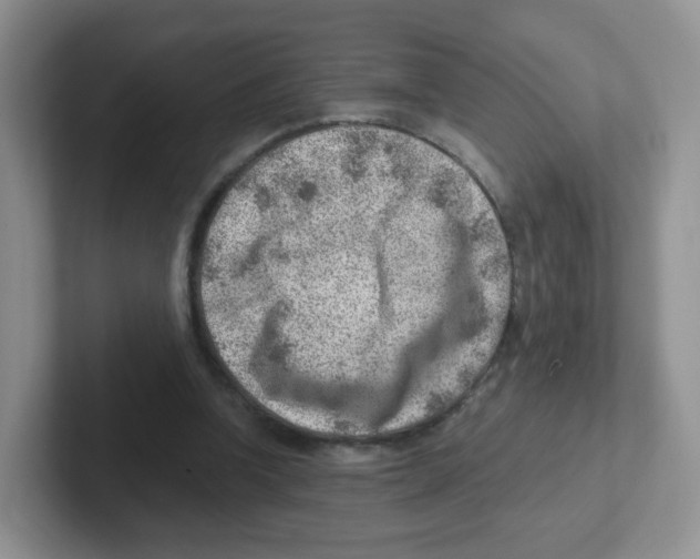 X0000101650346200808071119