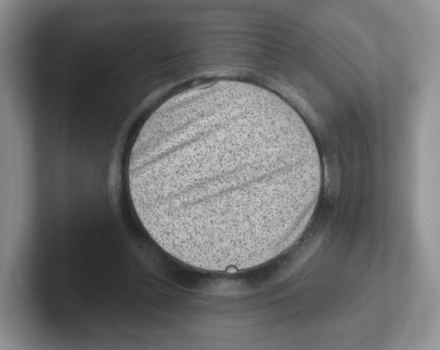 X0000101650348200808071119