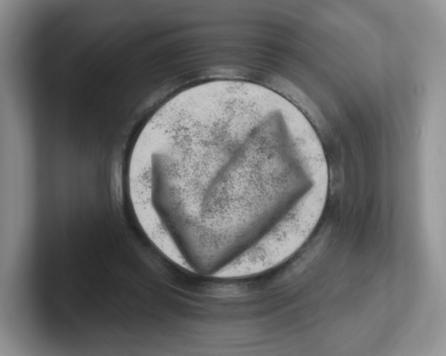 X0000101650349200808071119