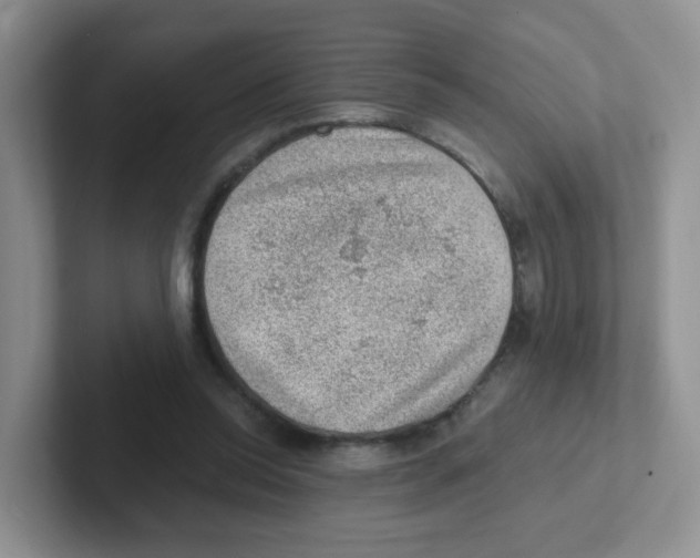 X0000101650350200808071119