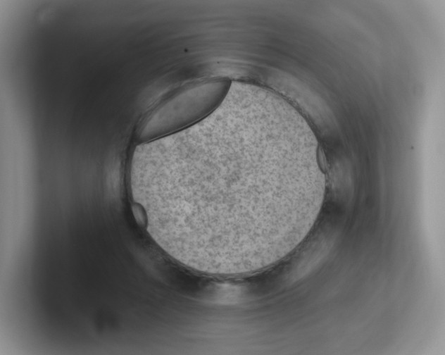 X0000101650352200808071119