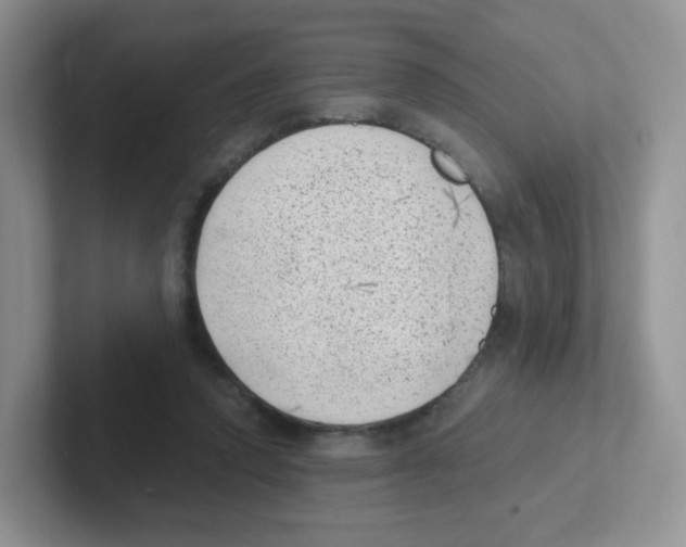 X0000101650354200808071119