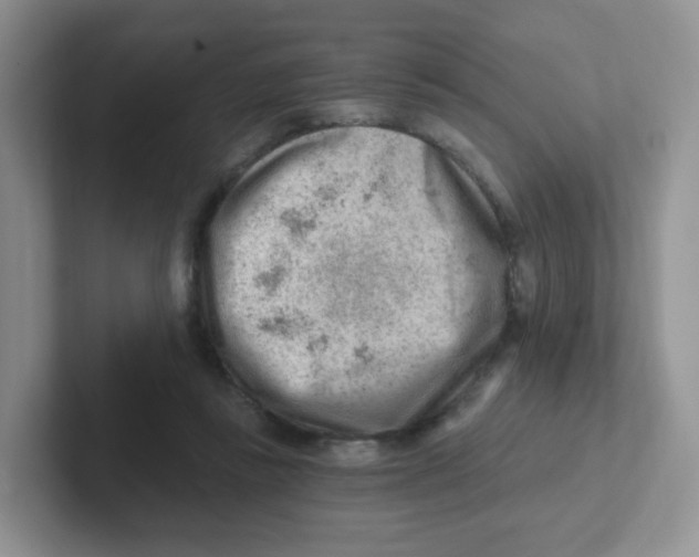 X0000101650355200808071119