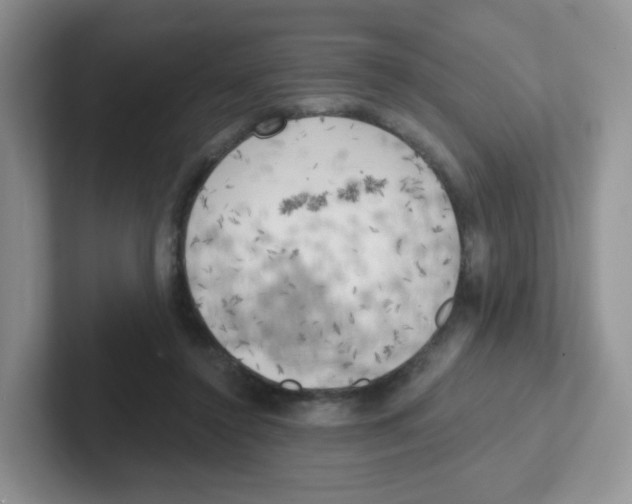 X0000101650356200808071119