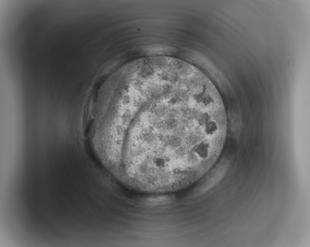 X0000101650357200808071119