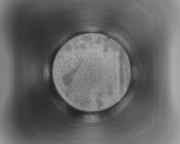 X0000101650358200808071119