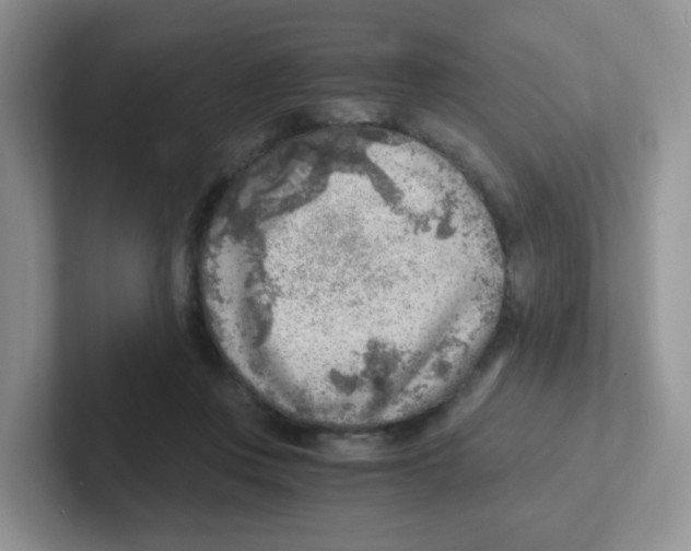 X0000101650359200808071119