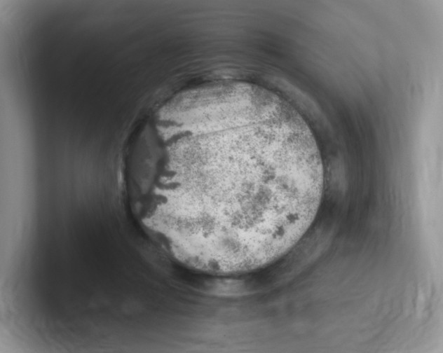 X0000101650361200808071119
