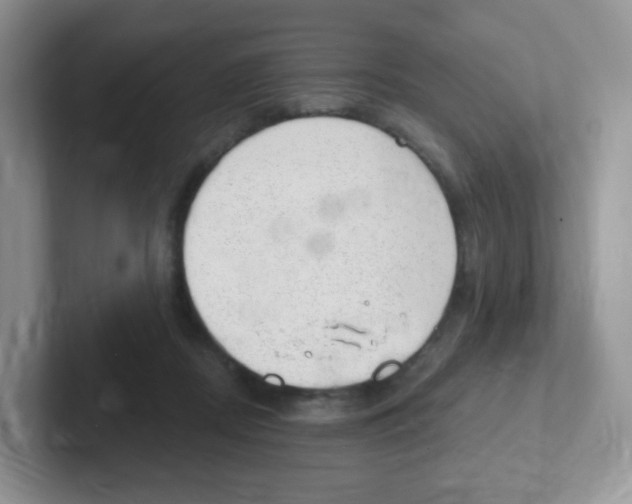 X0000101650362200808071119