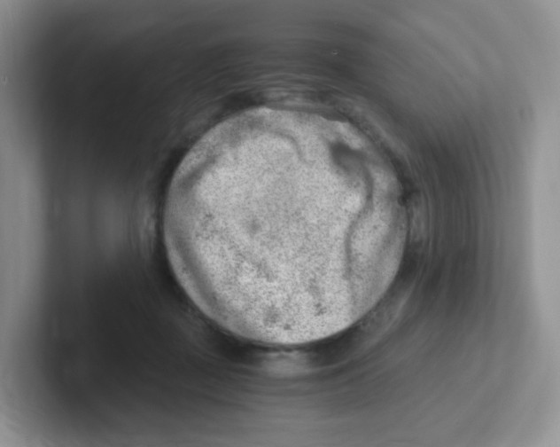 X0000101650363200808071119