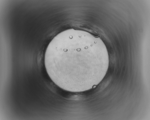 X0000101650364200808071119