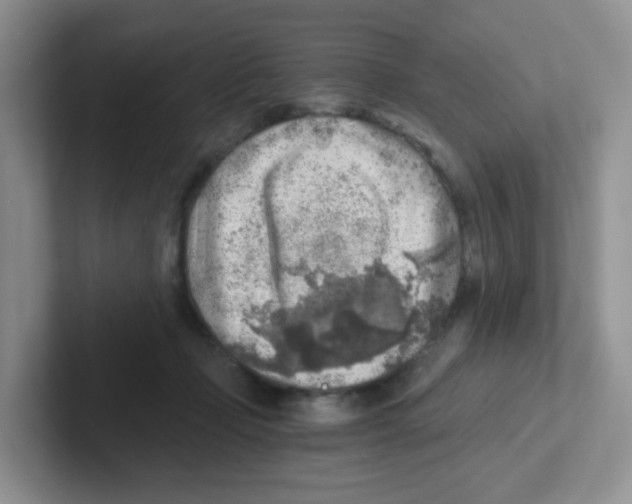 X0000101650365200808071119