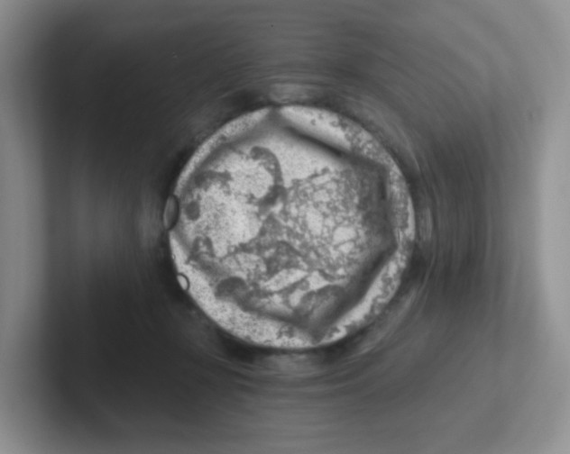 X0000101650367200808071120