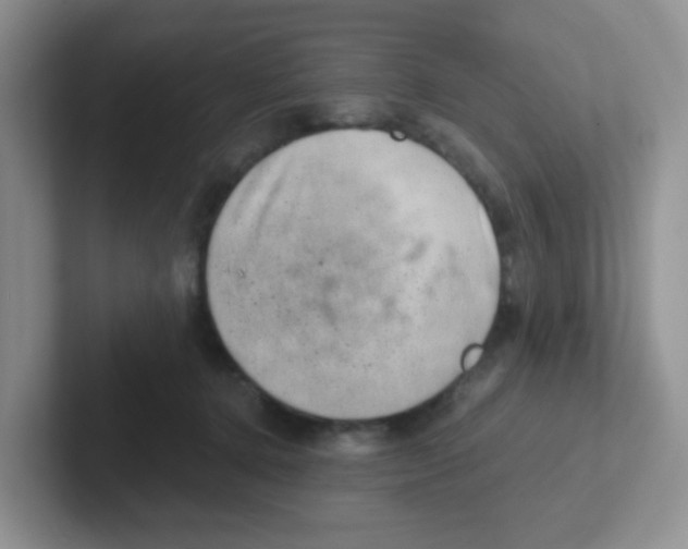X0000101650368200808071120