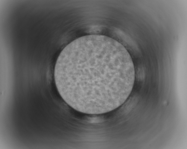 X0000101650370200808071120