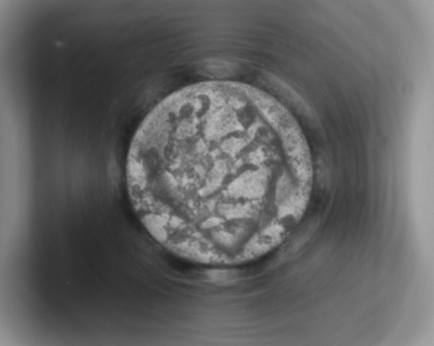 X0000101650371200808071120