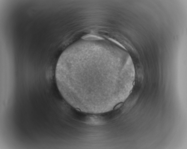 X0000101650372200808071120