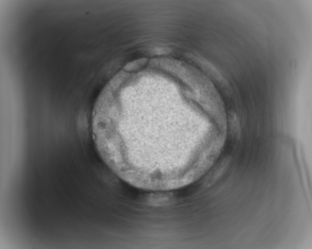 X0000101650373200808071120