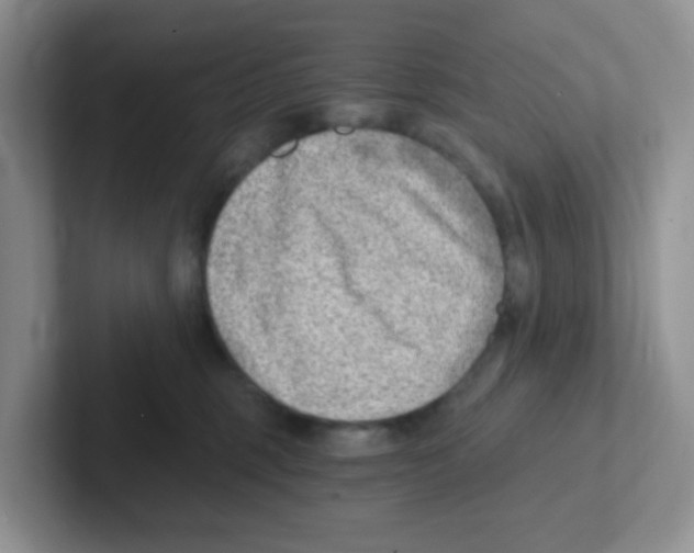 X0000101650375200808071120
