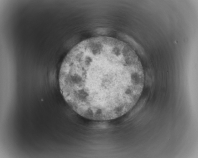 X0000101650377200808071120