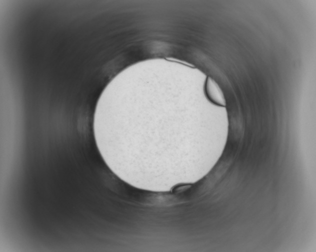X0000101650379200808071120