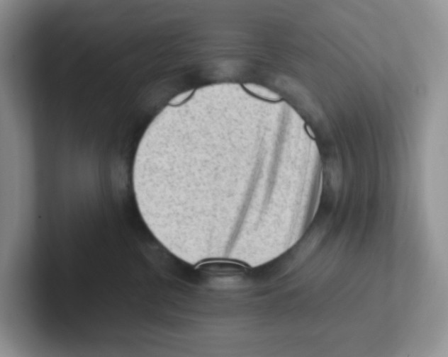 X0000101650380200808071120
