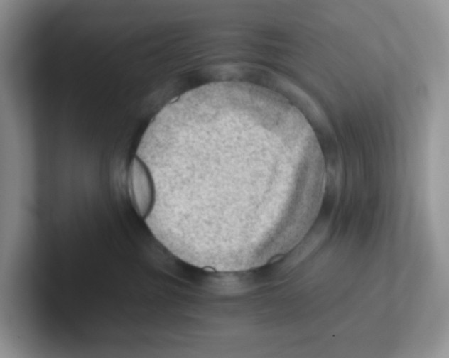 X0000101650381200808071120