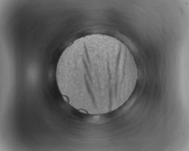 X0000101650382200808071120