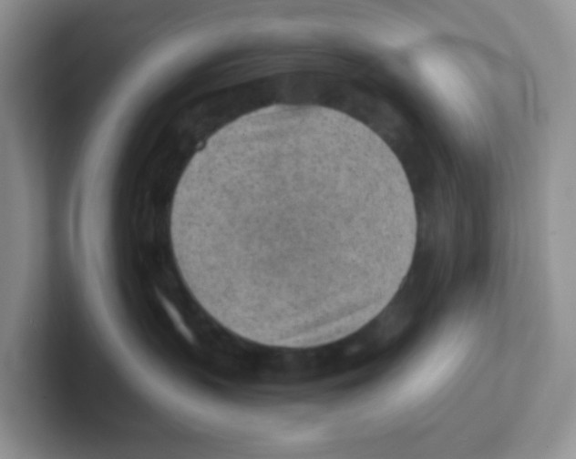 X0000101650383200808071120