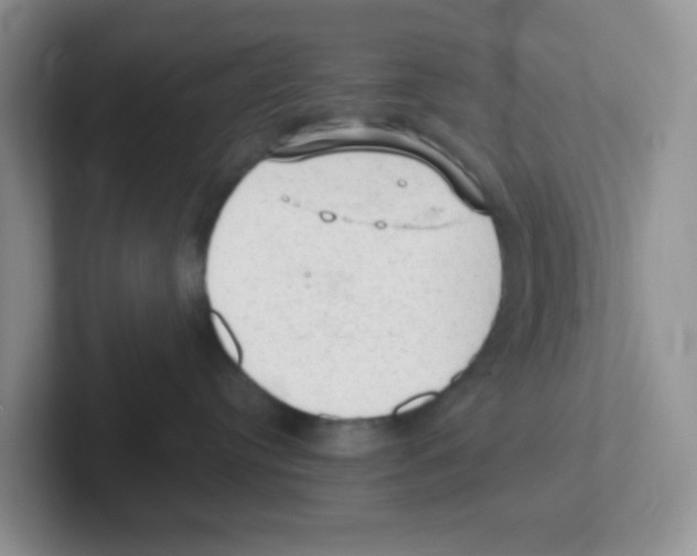 X0000101650384200808071120