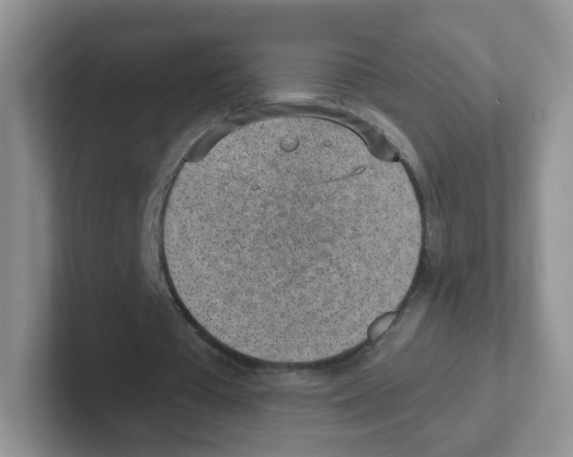 X0000101650385200808071119