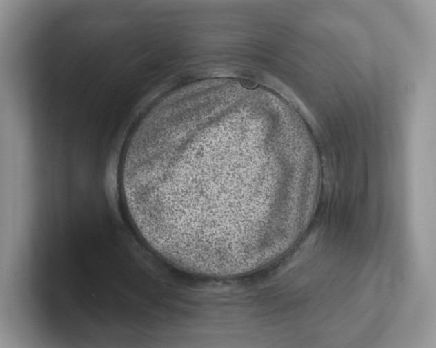 X0000101650386200808071119