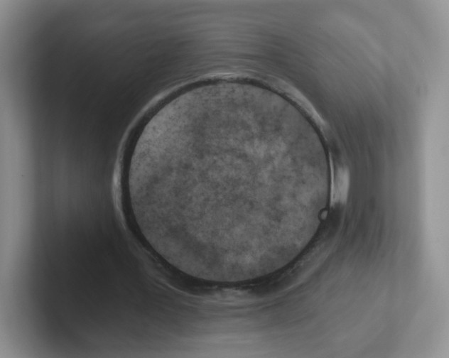 X0000101650387200808071119