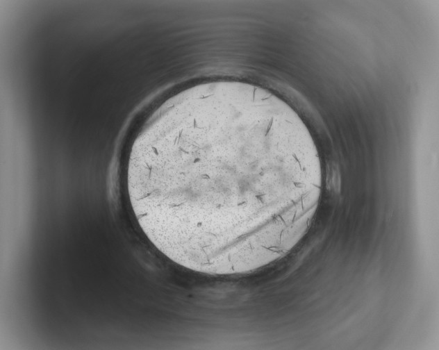 X0000101650388200808071119