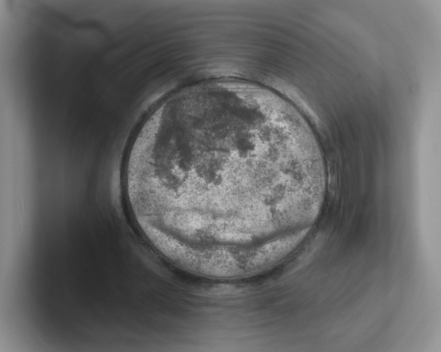 X0000101650390200808071119