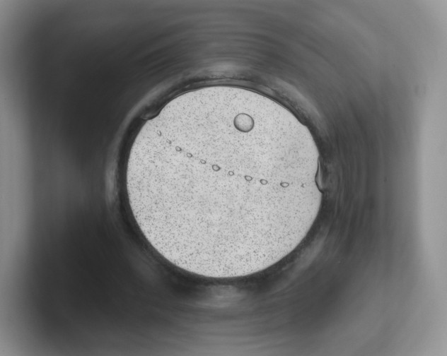 X0000101650392200808071119