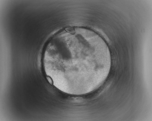 X0000101650395200808071119