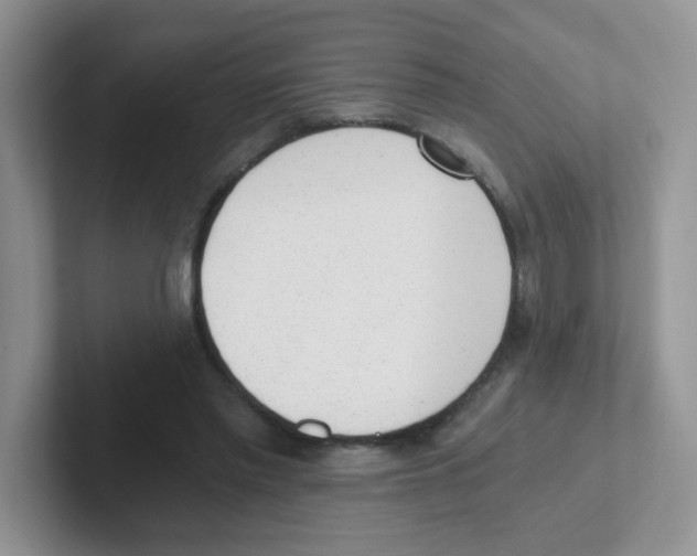X0000101650397200808071119