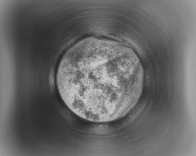 X0000101650398200808071119