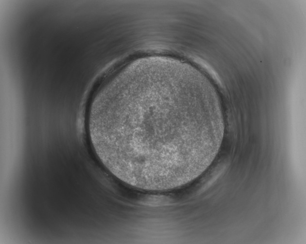 X0000101650399200808071119