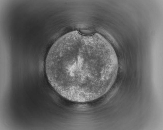 X0000101650401200808071119