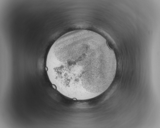 X0000101650403200808071119