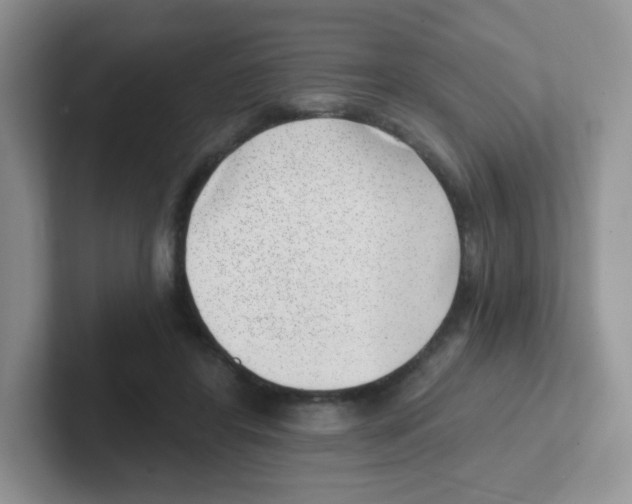 X0000101650404200808071119