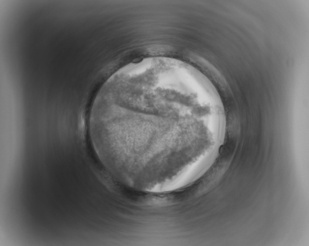 X0000101650405200808071119