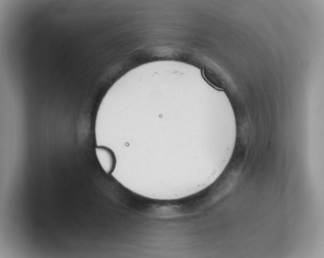 X0000101650407200808071119